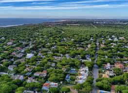 Urbanización